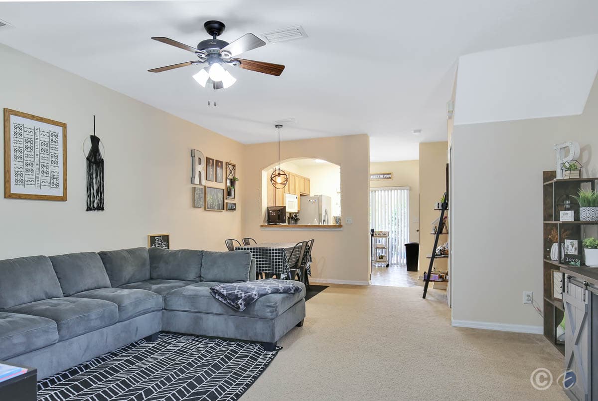 Home for Sale: 15927 Fishhawk Creek Lane, Lithia - Living Room