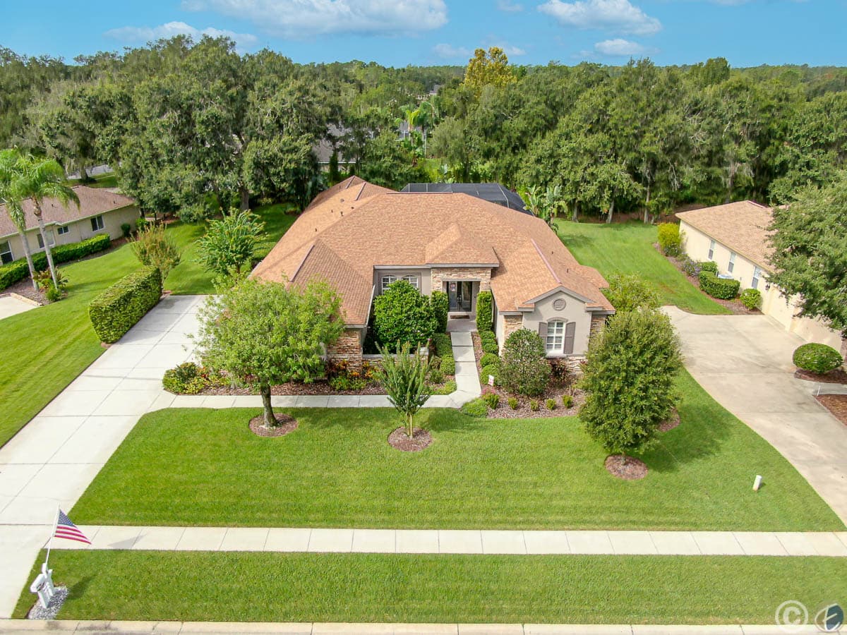Home for Sale: 6043 Audubon Manor Blvd, Lithia - Aerial View
