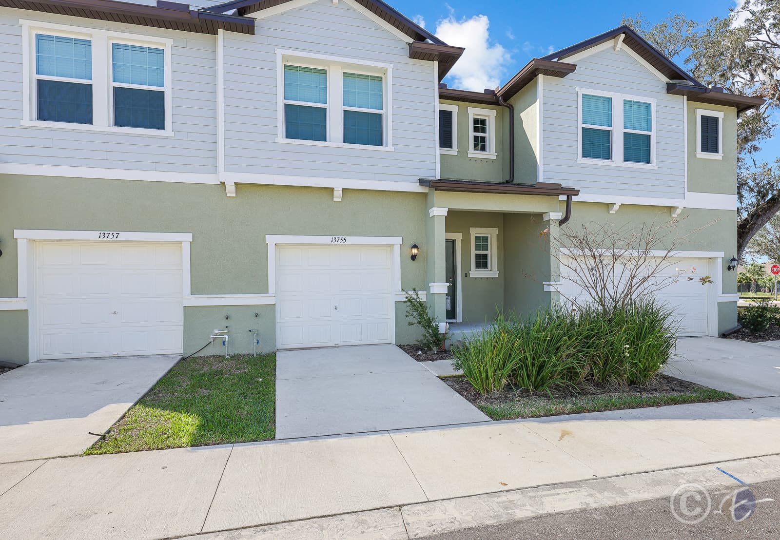 Home for Rent: 13755 Big Hawk Way, Lithia - Front