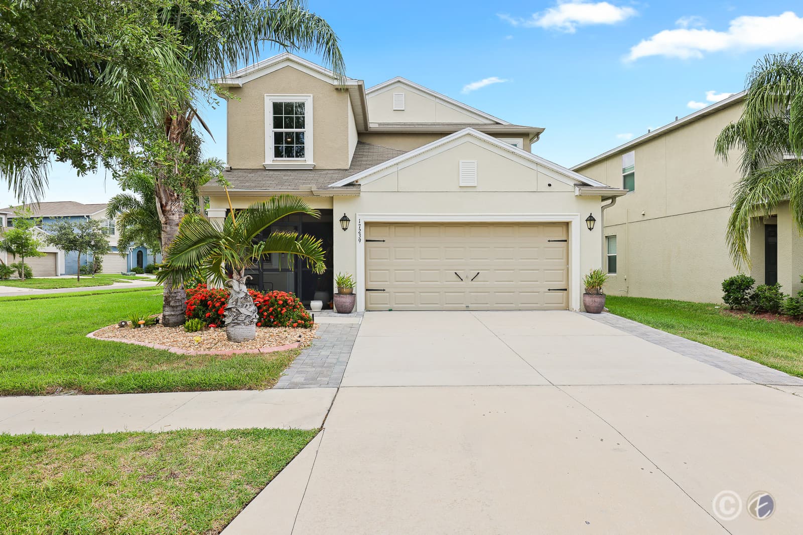 Home for Sale: 17239 White Mangrove Dr, Wimauma - Front