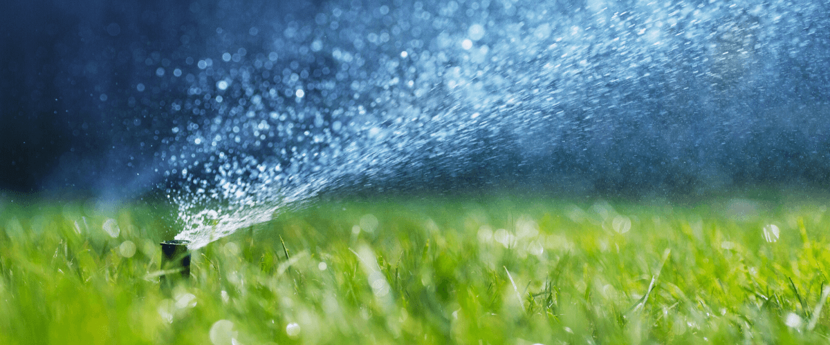 File water_saving_yard_tips.png
