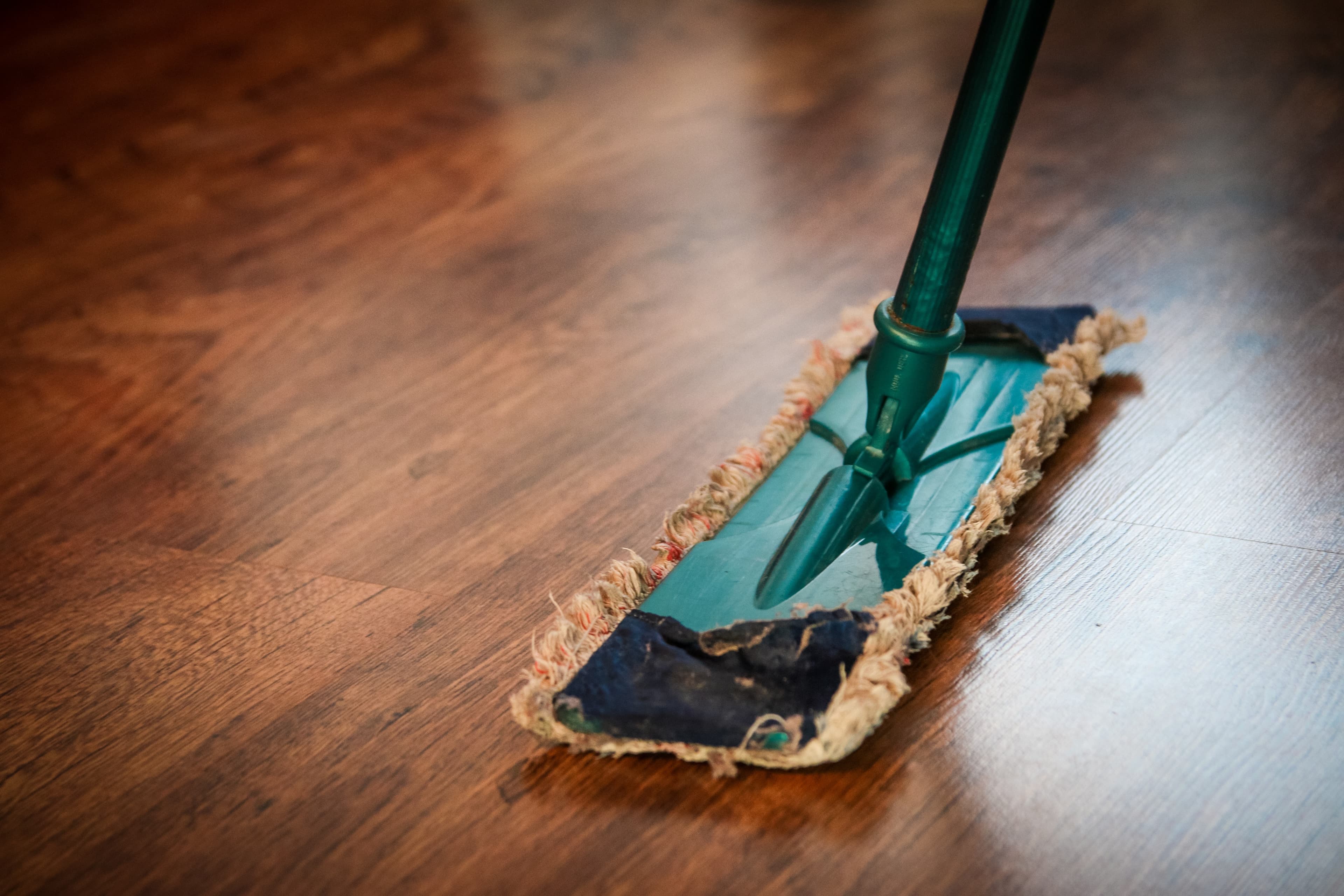 Cleaning Tampa Rental