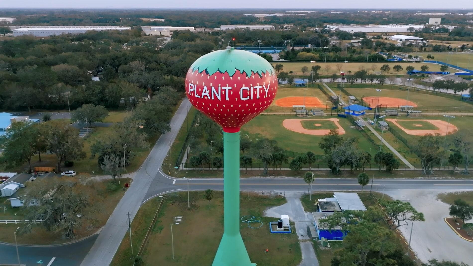 Plant City