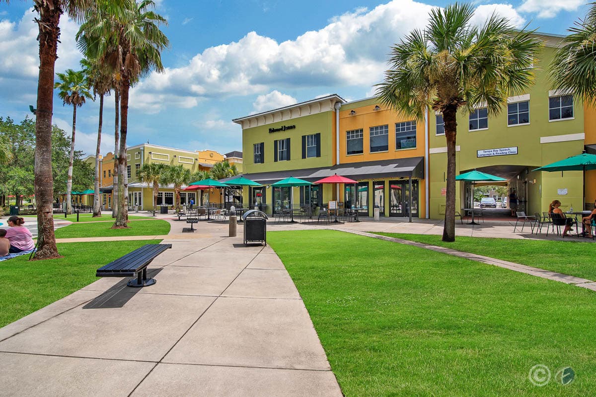 city-lithia-fishhawk-ranch-park-square-businesses The Pros & Cons of Living in Lithia, Florida